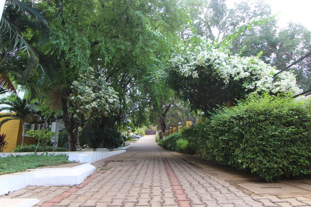 Rainforest - Casa Del Sol, Anjuna - 3 Kms From The Beach Exteriör bild