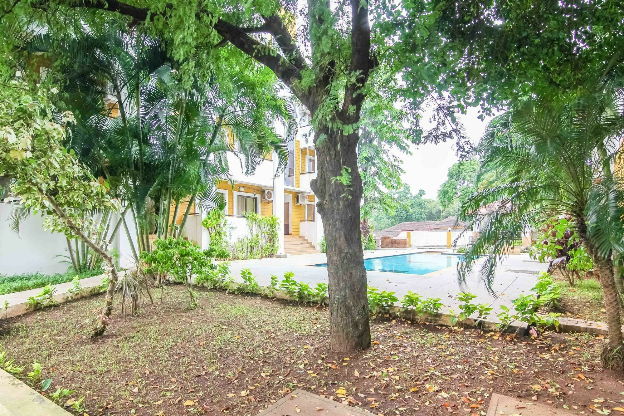 Rainforest - Casa Del Sol, Anjuna - 3 Kms From The Beach Exteriör bild